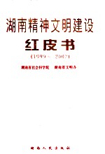 湖南精神文明建设红皮书 1999-2002