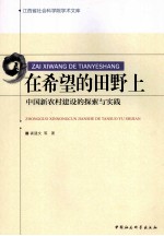 在希望的田野上 中国新农村建设的探索与实践