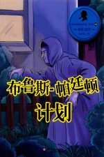 布鲁斯-帕廷顿计划