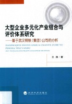 大型企业多元化产业组合与评价体系研究 基于武汉钢铁（集团）公司的分析