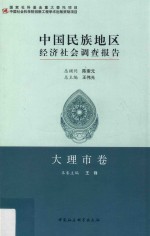 中国民族地区经济社会调查报告 大理市卷