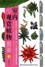 室内观赏植物图鉴 2