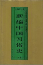 新编中国习俗史  下  中国民国习俗史