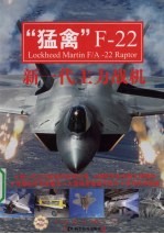 “猛禽” F-22 新一代主力战机