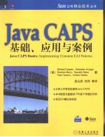 Java CAPS基础、应用与案例