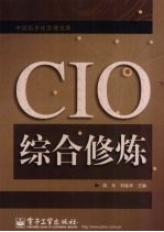 CIO综合修炼