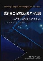 煤矿重大灾害防治技术与实践 2008年全国煤矿安全学术年会论文集