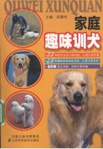 家庭趣味训犬