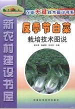 反季节白菜栽培技术图说