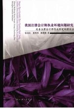 我国注册会计师执业环境问题研究：改善注册注册会计师作业环境的理论分析