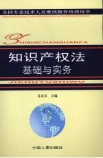 知识产权法基础与实务