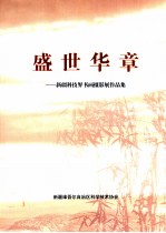 盛世华章 新疆科技界书画摄影展作品集