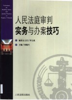 人民法庭审判实务与办案技巧