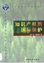 知识产权的国际保护