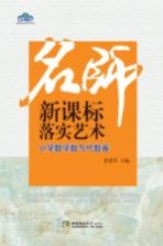 名师新课标落实艺术 小学数学数与代数卷