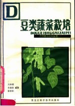 豆类蔬菜栽培