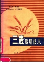 三麦栽培技术