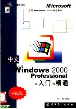 中文Windows 2000从入门到精通