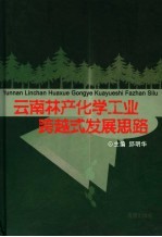 云南林产化学工业跨越式发展思路