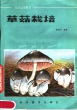 草菇栽培