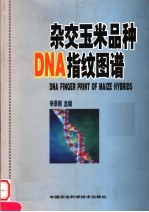 杂交玉米品种DNA指纹图谱 中英文本