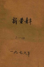 新疆青年 1-12 上