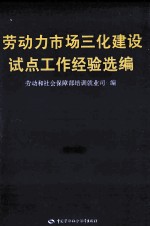 劳动力市场“三化”建设试点工作经验选编