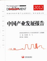 中国产业发展报告 2012