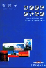 石河子社会经济统计年鉴 1999