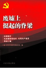 废墟上挺起的脊梁 抗震救灾先进基层党组织、优秀共产党员事迹汇编