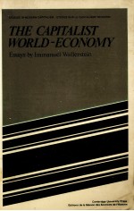 THE CAPITALIST WORLD-ECONOMY