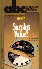 WHAT IS SURPLUS VALUE?