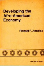 DEVELOPING THE AFRO AMERICAN ECONOMY