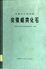 安徽古生物图册 安徽 类化石