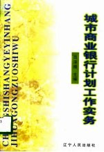 城市商业银行计划工作实务