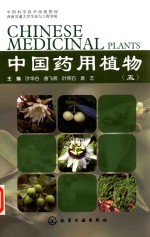 中国药用植物  5