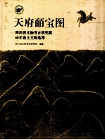 天府皕宝图 四川省文物考古研究院60年出土文物精粹