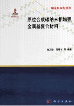 原位合成碳纳米相增强金属基复合材料