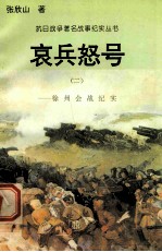 哀兵怒号：徐州会战纪实 2