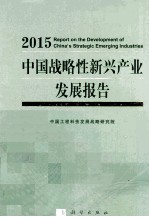 中国战略性新兴产业发展报告 2015