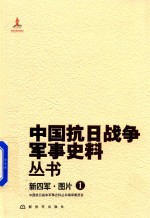 中国抗日战争军事史料丛书  新四军·图片  1