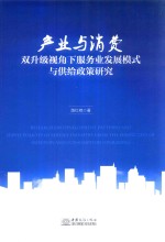 产业与消费双升级视角下服务业发展模式与供给政策研究