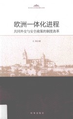 欧洲一体化进程 共同外交与安全政策的制度改革