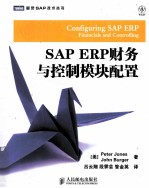 SAP ERP财务与控制模块配置