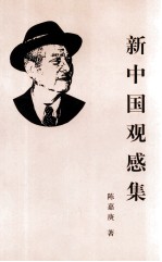 新中国观感集