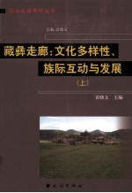 藏彝走廊 文化多样性、族际互动与发展 上