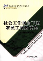 社会工作视角下的农民工问题研究