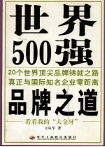 世界500强品牌之道