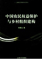 中国农民权益保护与乡村组织建构