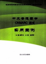 中文普通图书CNMARC格式实用图例